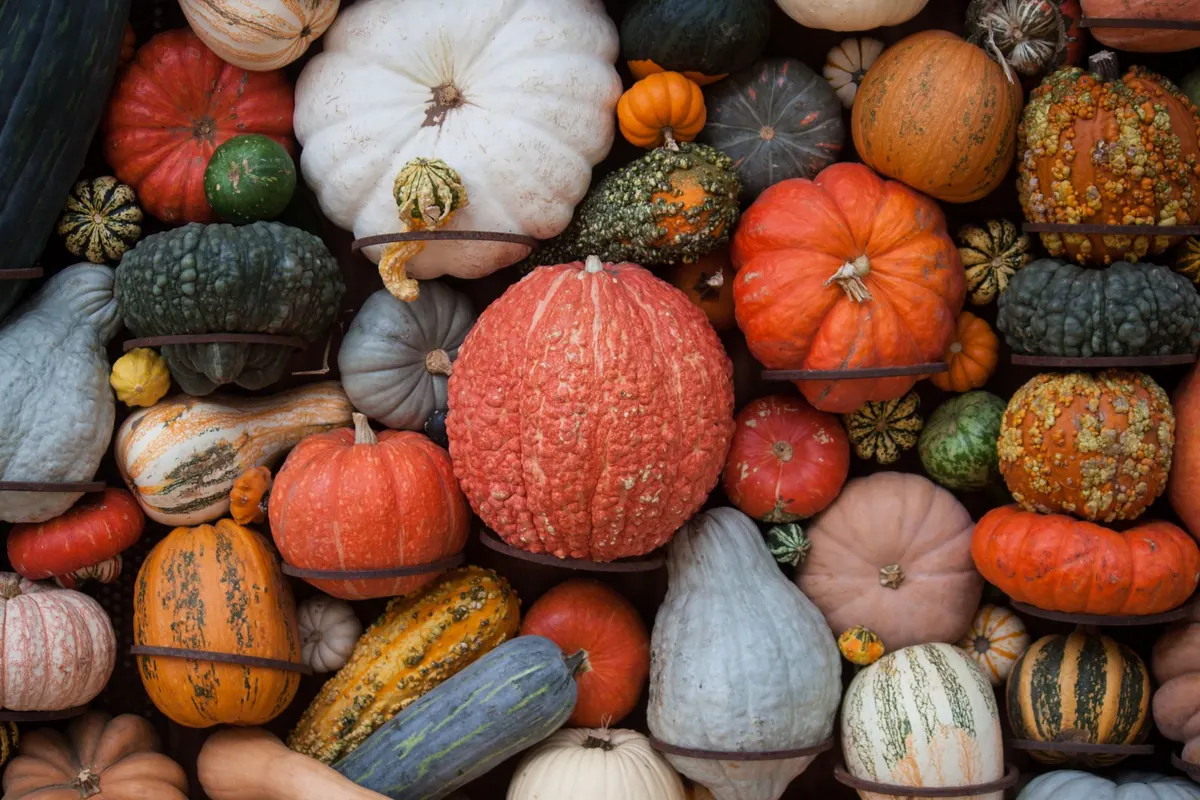 Eating Seasonally in the Cotswolds: A Month-by-Month Guide to Autumn and Winter